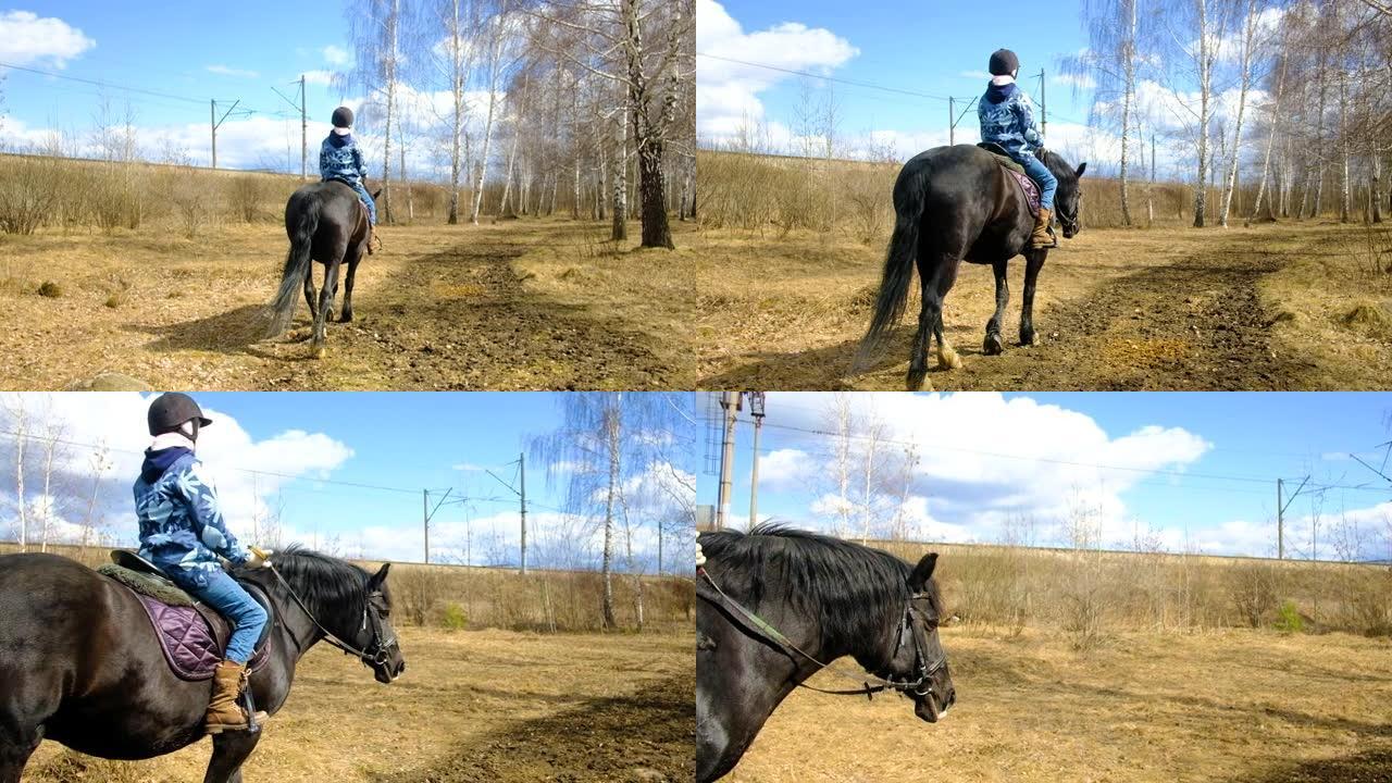 骑马者女孩在土路上骑着一匹黑色优雅的马，手持棕色种马的动机。穿着蓝色衣服的专业骑师在户外度过一个秋天