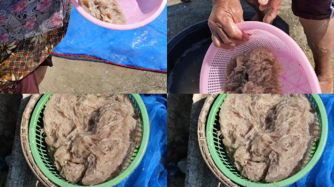渔民将一组新鲜的磷虾或负鼠虾倒入绿色塑料容器中