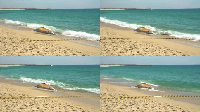 海滩上的死鲸