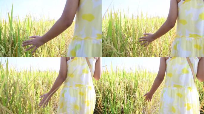 股票视频
亚洲小女孩走路的手抚摸和抚摸树叶米饭
亚洲小女孩走路的手抚摸和抚摸树叶米饭