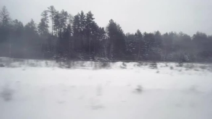 阴郁的冬季森林，从路过的交通工具的窗户可以看到
