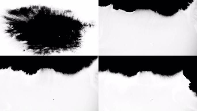 黑色墨水和油漆滴过渡。一组抽象的艺术染料飞溅，液滴在白色背景上落下并扩散。墨水流血并开花，滴水。墨罩