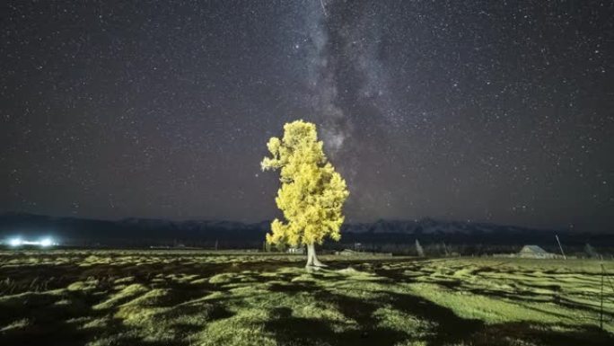 夜间在Kurai草原，山脉和银河系的落叶松树。阿尔泰山