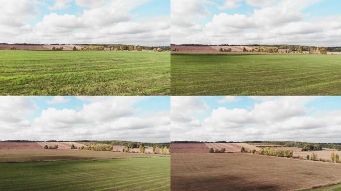 多云的蓝天上的绿色农业场地。无人驾驶飞机飞越乡村的收割场。美丽的天然麦田。自然景观