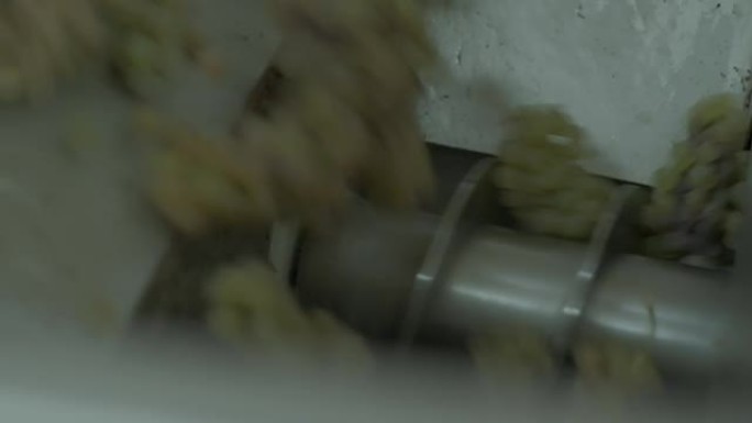 旋转式压榨机从绿色葡萄中榨汁