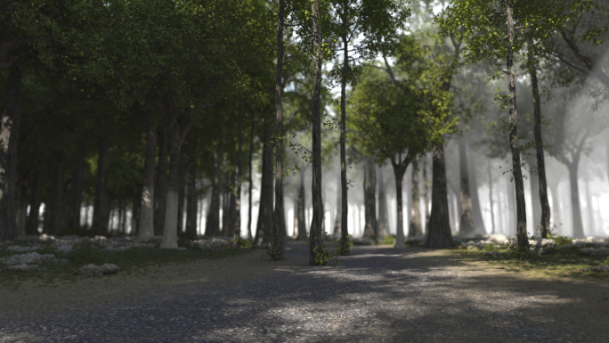 写实三维森林穿梭动画视频素材