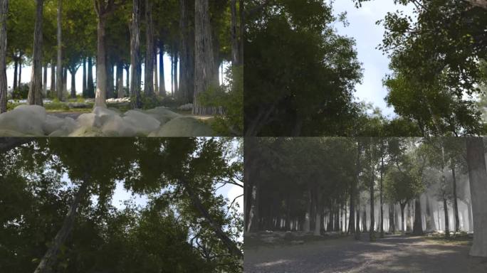 写实三维森林穿梭动画视频素材