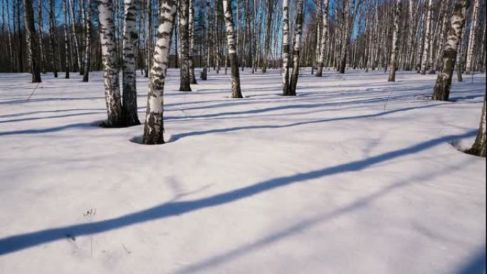 冬季森林中的晴天雪林雪景湖泊
