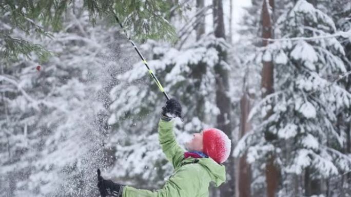 森林里的滑雪者。越野滑雪运动员享受白雪皑皑的森林，用杆子触摸树并制造降雪