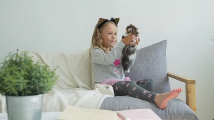 小女孩在沙发上玩蓬松的小猫