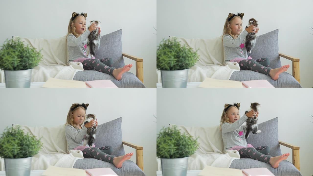 小女孩在沙发上玩蓬松的小猫