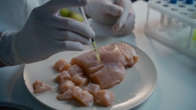 转基因肉。转基因食品概念。基因注射。食品科学家注射生肉。实验室助理测试转基因鸡。食品质量控制。种植养