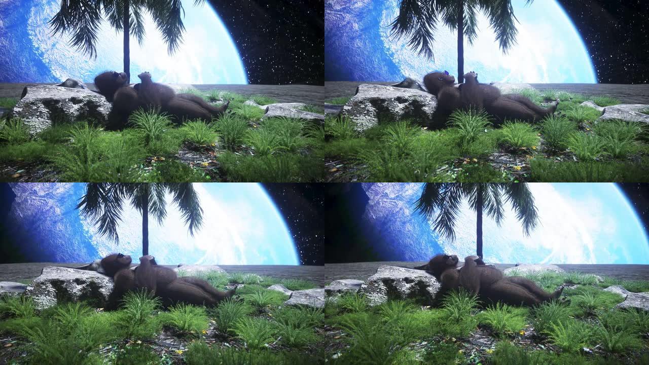 大猩猩在月球绿洲上闲着。3d渲染。