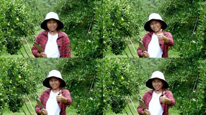 手拿平板的年轻女性农民在家庭有机橙种植园工作。现代农业技术为智能农业。