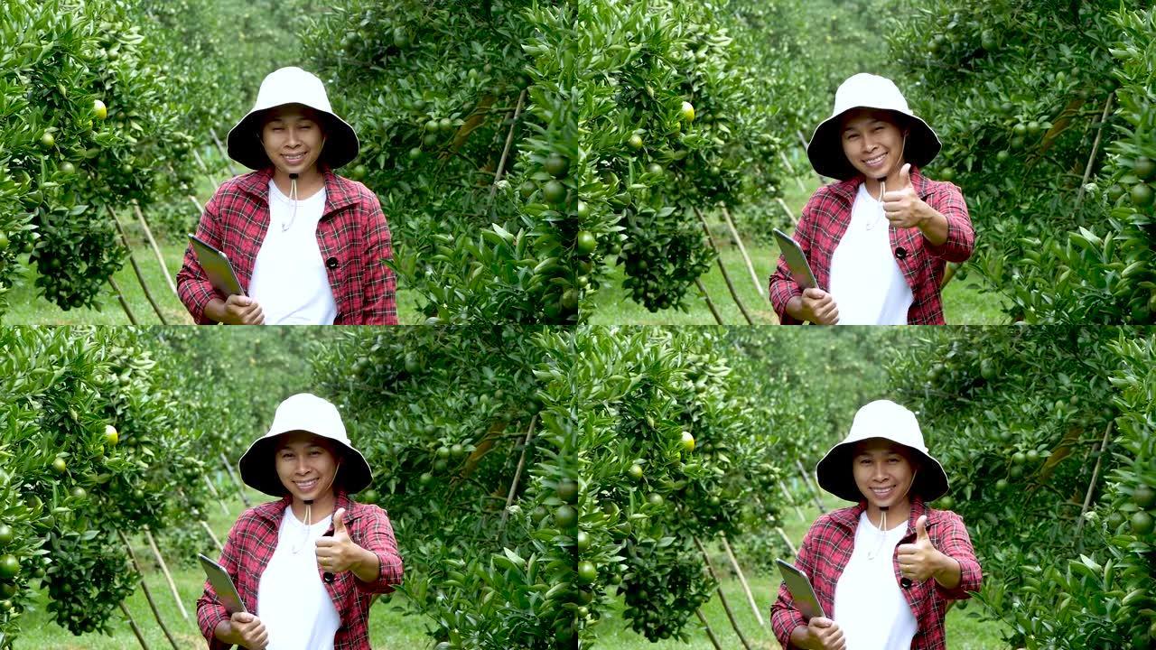 手拿平板的年轻女性农民在家庭有机橙种植园工作。现代农业技术为智能农业。