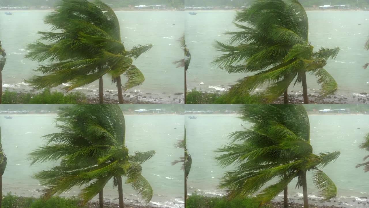 大雨和大风下的树木和棕榈树。穿过雨水淋湿的窗户。热带风暴概念。包含自然声音
