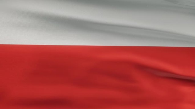 波兰国旗飘扬在风seamles循环三维动画。4 k的决议