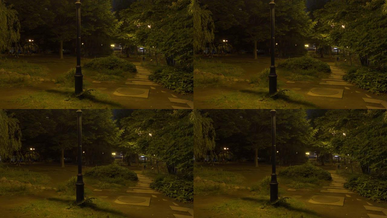 日本东京的Hamacho公园，夜景