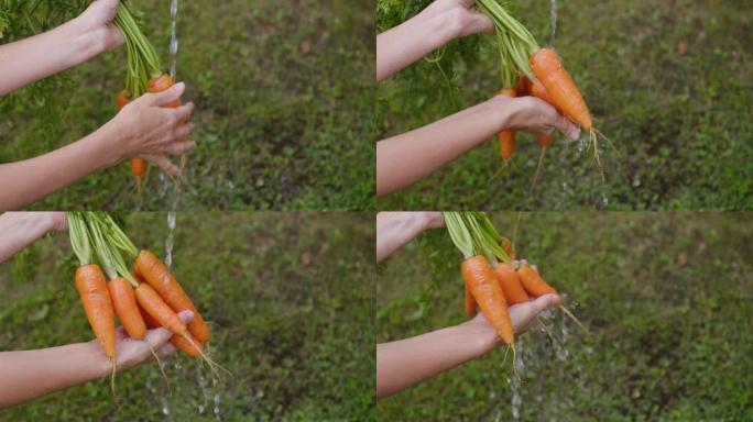 妇女的手在干净的水中洗胡萝卜