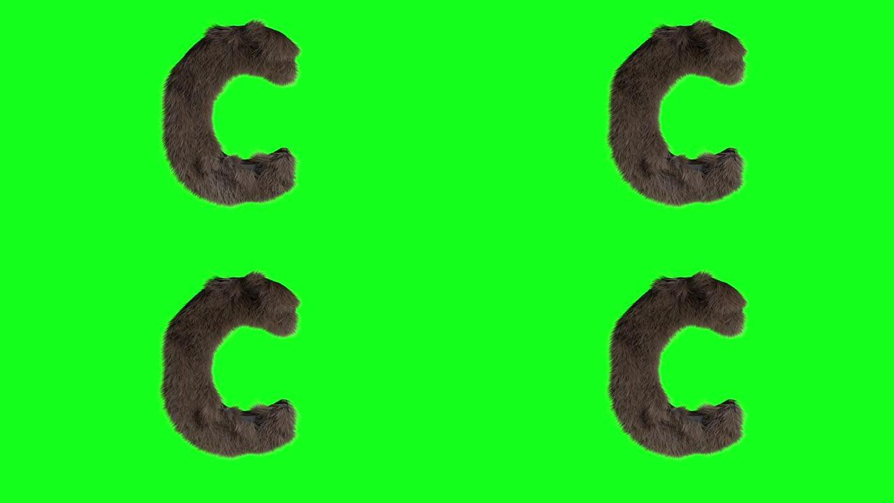 抽象多毛字母C符号蓬松毛茸茸的字母绿色屏幕色键动画3d