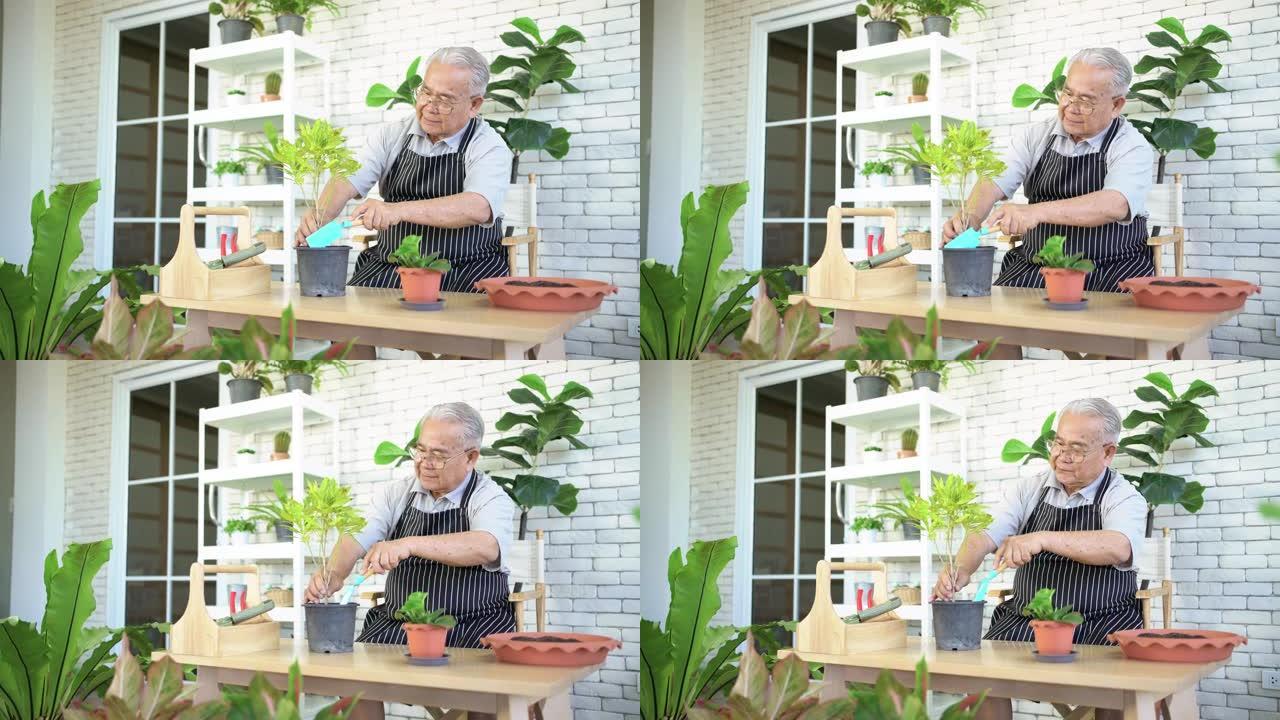 亚洲退休的祖父喜欢通过挖土来照顾植物，以准备植树。退休活动。