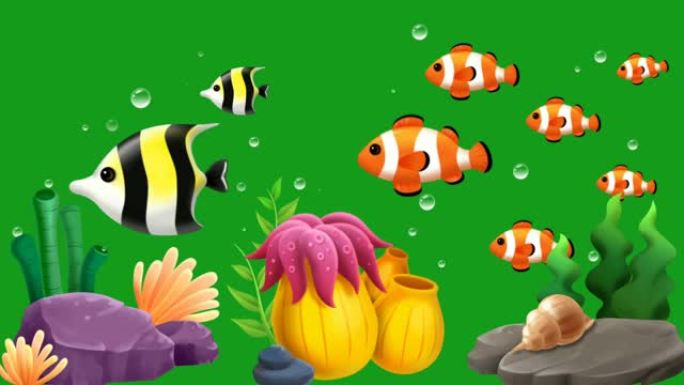 美丽的水族馆鱼类动画与绿屏背景