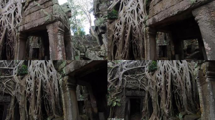 柬埔寨暹粒的Prasat Ta prohm寺