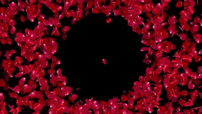 玫瑰花瓣背景，可循环，系列