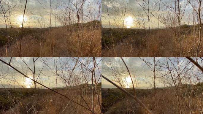 摄像机沿着路径缓慢移动，穿过高大干燥的灌木丛。斯蒂安卡姆开枪。马里布美丽的日落。美国加利福尼亚州。