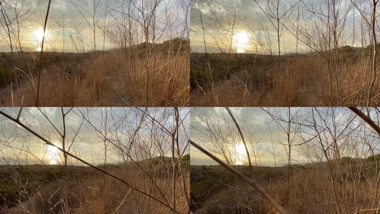 摄像机沿着路径缓慢移动，穿过高大干燥的灌木丛。斯蒂安卡姆开枪。马里布美丽的日落。美国加利福尼亚州。