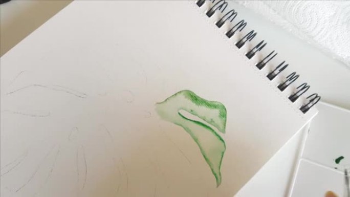 女人画Monstera leaf与水彩画特写