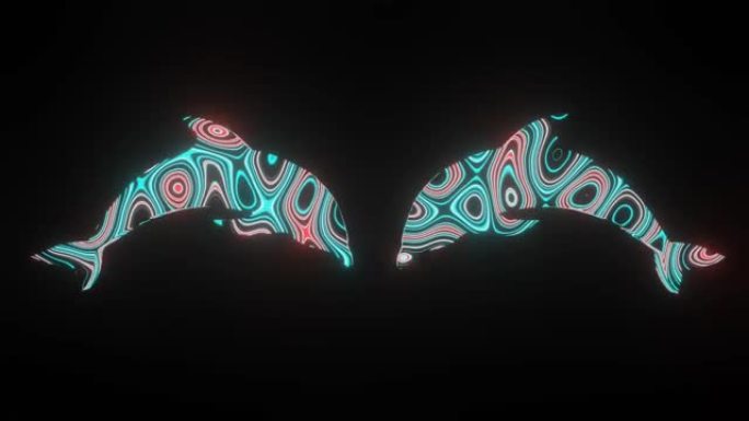在两只海豚的身体形状上形成美丽的纹理或图案的4k视频动画，孤立在黑色背景上。海豚上的3d渲染抽象循环