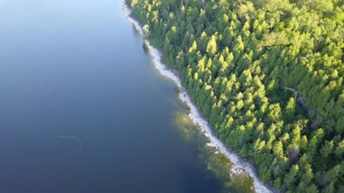芬兰绿色森林的蓝湖鸟瞰图