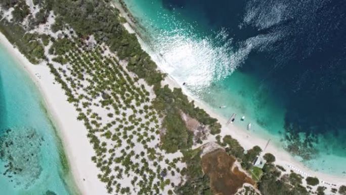 拥有白沙和椰子树的加勒比海绿松石水岛的鸟瞰图
