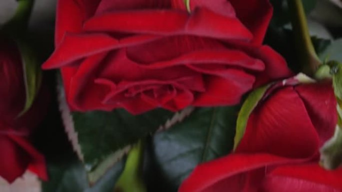 木桌背景上的红玫瑰。情人节。情人节。从上方观看。宏观。4k快照