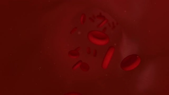 动脉中的血液循环