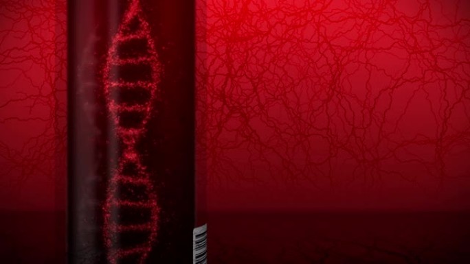 试管中带有红色血液的DNA系统分子。验血设备。循环动画。医学概念。3d渲染静脉和动脉。