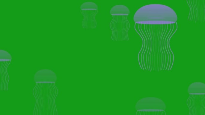 绿色屏幕背景的游泳水母运动图形