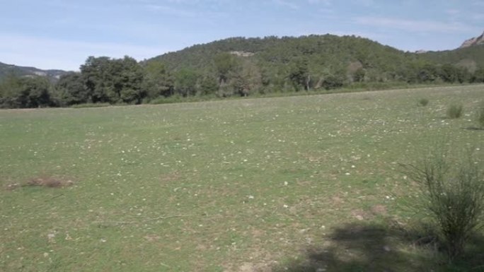 田野草原山盘自然阳光树农业农村景观