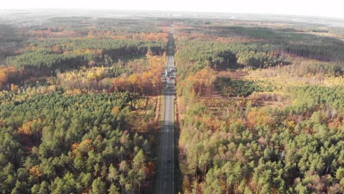 汽车和卡车在直直的高速公路上行驶，穿过五颜六色的秋天森林。在秋季，汽车道路被绿色，红色和黄色的叶子树