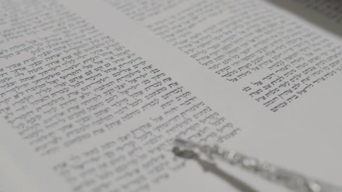 年轻的犹太人正在阅读《摩西五经》卷轴。4k特写