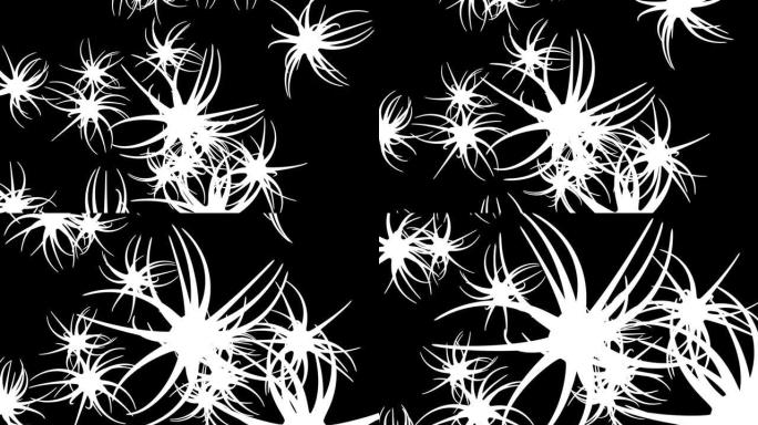 白色神经元细胞网络结构调制
