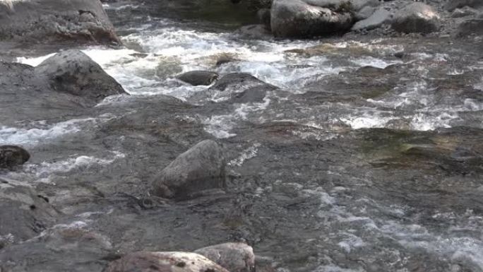 山河从石床流下。溪流底部有灰色鹅卵石，水起泡和起泡。春日清溪。岩石伸出水面，阻碍航行
