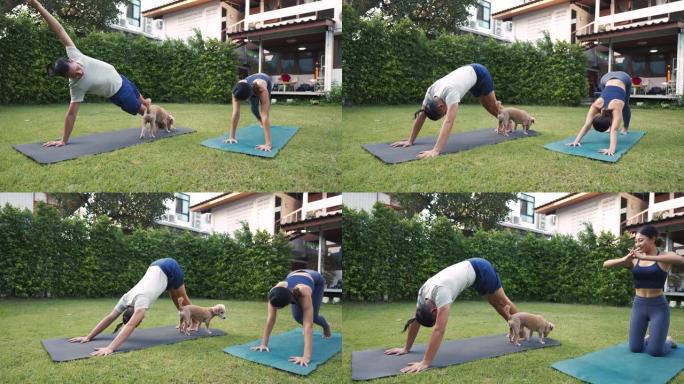 年轻的健身夫妇在屋里花园和宠物狗一起练习瑜伽。亚洲妇女和高加索男子在公园户外训练