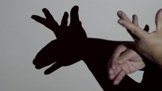男性手在投影机照明娱乐剧场下制作麋鹿的影子幼儿