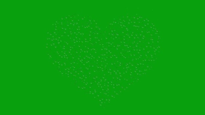 心形绿色屏幕运动图形中的水滴