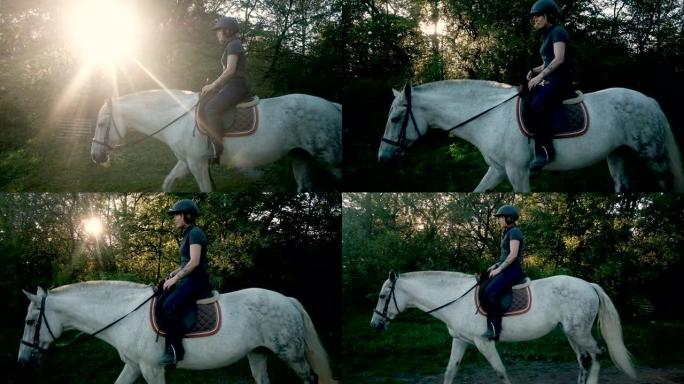 女骑手在赛马场上骑着一匹优雅的马，手持棕色种马的动机。穿着黑色衣服和头盔的专业骑师在户外度过夏日。日