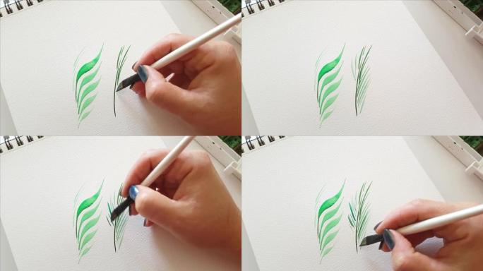 用水彩画绿色叶子特写