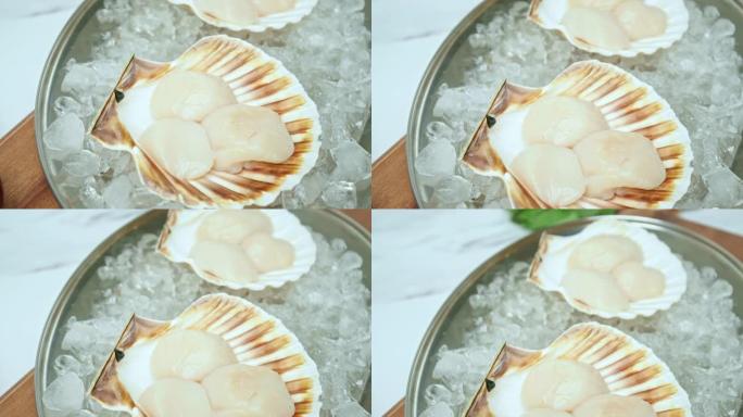 在4k的桌子上的碎冰上，将原始的新鲜扇贝放在贝壳上的特写镜头。健康食品的概念，餐桌上的新鲜扇贝准备与