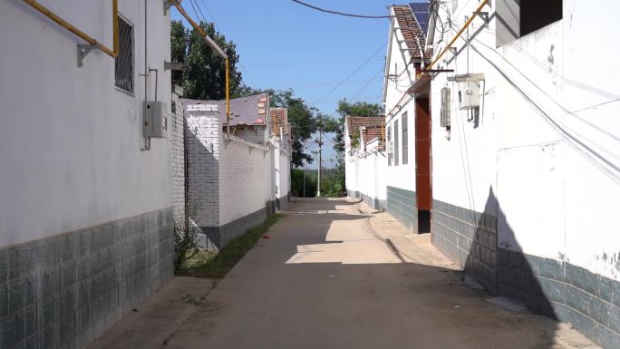 合欢 农村 合欢花 乡村振兴